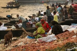 corporate market dynamics analysis