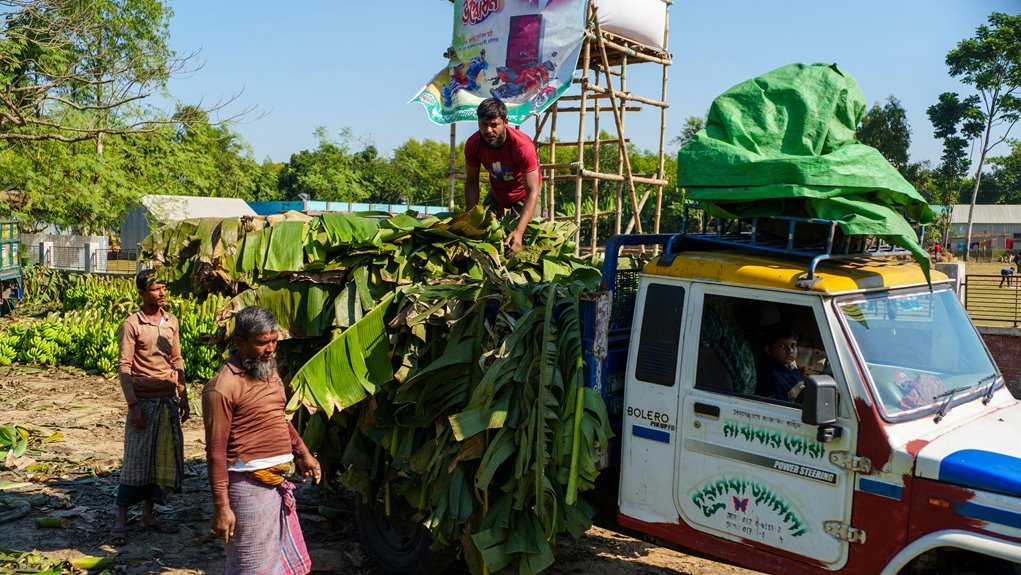 business landscape analysis report