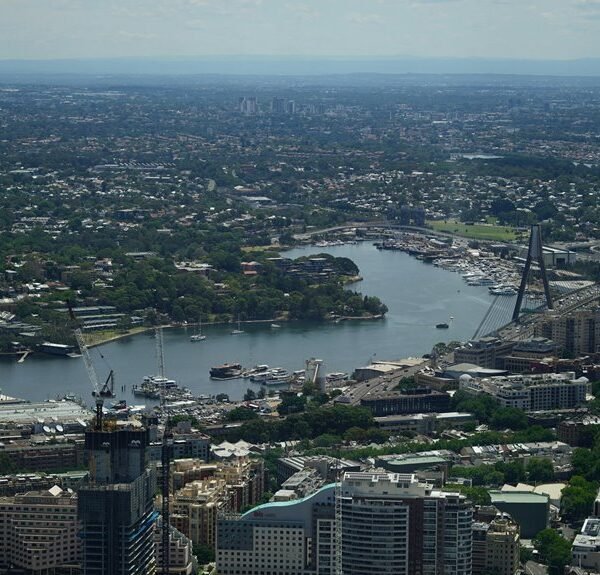 commercial landscape analysis report