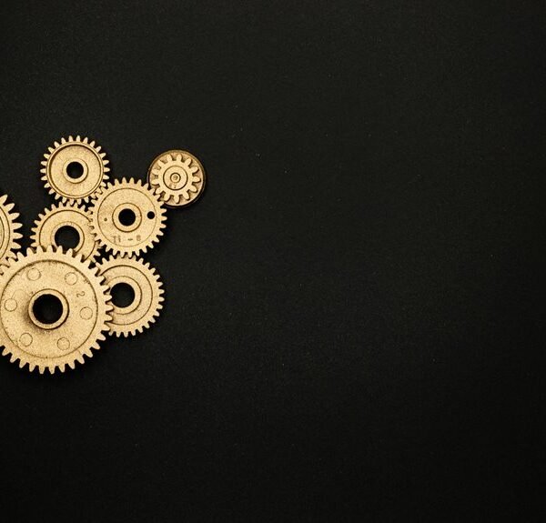 industry dynamics evaluation report