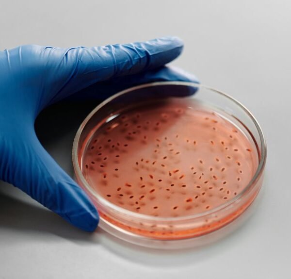 sector growth diagnostics analysis